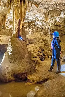 La Grotte Célestine de Rauzan (déc. 2015)