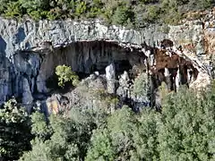 Baume des Collets donnat sur la Siagnole