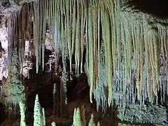 La Grotte de Clamouse, à Saint-Jean-de-Fos.