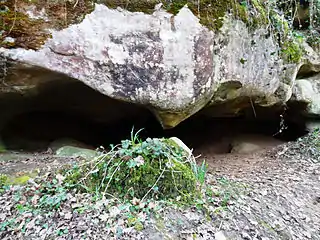 Grotte de Prinvaux
