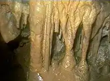 Photo couleur de concrétions calcaires supérieures et inférieures unies en colonne.