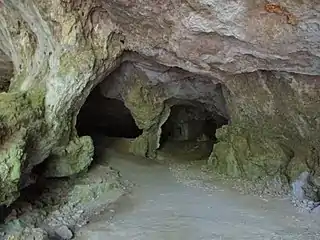 Grottes d'Arcy-sur-Cure