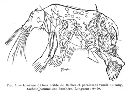 Gravure d'ours blessé/mourant