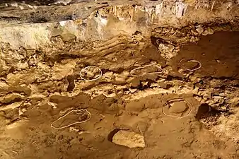 Empreintes humaines sur le sol argileux de la grotte de Bàsura.