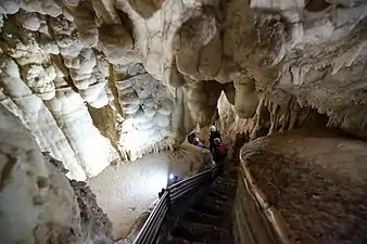 Concrétions en forme de mamelles dans l'Antro de Cybele dans la grotte de Bàsura.