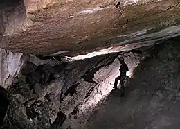 Le sol marneux de la grotte du Trou-Madame (Méailles, Alpes-de-Haute-Provence, France) a été érodé, alors que son toit de conglomérats est resté en place.