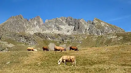 Vue du groupe du Neiglier.