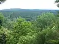 Vue de la forêt depuis Teufelsberg.