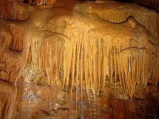Forme intermédiaire entre stalactites et voiles (Portugal).