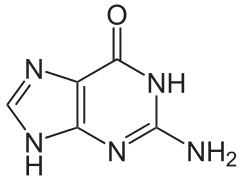 structure chimique de la guanine