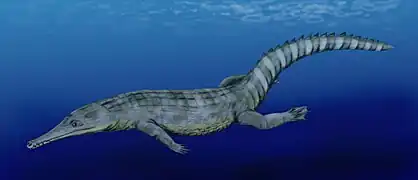 Guarinisuchus