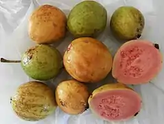 Cueillette de fruits (Cuba)