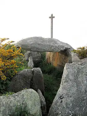 La galerie dolménique du Guilliguy.