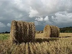 Le temps de la moisson.