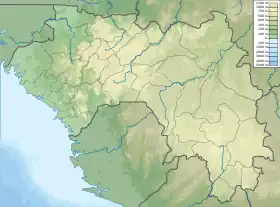 Voir sur la carte topographique de Guinée