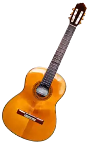 Image illustrative de l’article Guitare