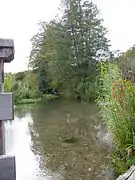 Vue du pont, la rivière des Évoissons.