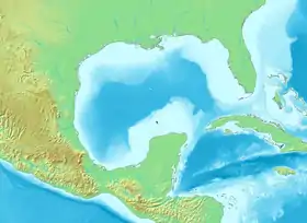 (Voir situation sur carte : golfe du Mexique)