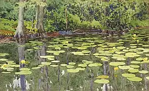 Water-Lily Pond, 1915.