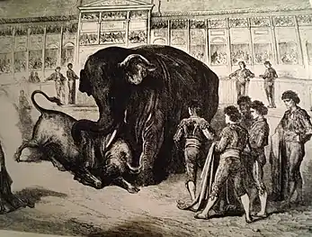 Corrida : combat du taureau et de l'éléphant.