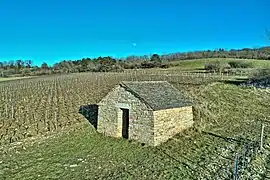 La caborde des vignes aux lièvres.