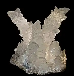Mine de Naïca, Mun. de Saucillo, Chihuahua, Mexique - 44 cm×30 cm