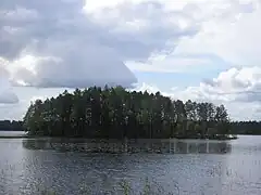 l'île Hännisensaari du lac Yltiä.