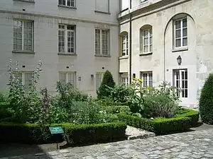 Jardin des plantes médicinales.