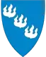 Blason de Høyanger