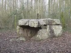 Image illustrative de l’article Dolmen du Bois