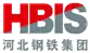 logo de HBIS Group