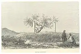 Les colonnes de Rafah, sur la route entre l'Égypte et la Syrie, en 1881.