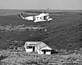 HH-52A en 1965.