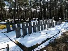 Photo couleur de deux rangées de pierres tombales gris foncé, avec des arbres en arrière-plan.