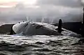 HMS Talent S92 faisant surface, Kyle of Lochalsh (2009)