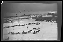 Photo en noir et blanc montrant dans un paysage de neige des cheveux tirant des traineaux, au fond à droite des bâtiments