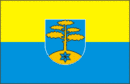 Drapeau de Commune de Haaslava