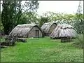 Reconstitution d'un habitat du néolithique sur la rive du lac.