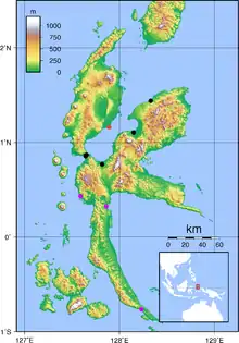 Carte d'Halmahera marquée de 8 points de couleur, en rouge au nord la ville de Kao, en noir 4 points au nord pour les observations récentes, et en mauve 3 points au sud pour celles antérieures à 1950.