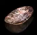 Hache néolithique en quartz et sillimanite Manzat France - Muséum de Toulouse