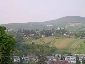 Vue depuis le parc du Dr.-Meißner.