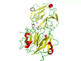 Image illustrative de l’article Hémopexine