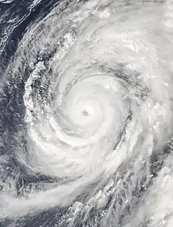 Vue satellite du typhon le 9 octobre 2019