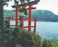 Torii du Hakone-jinja sur le lac Ashi.