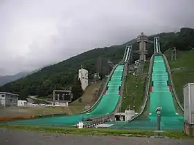 Un stade de saut à ski composé de deux tremplins parallèles.