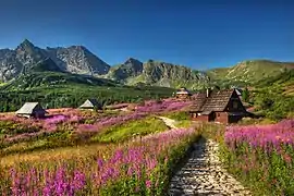 Parc national des Tatras.