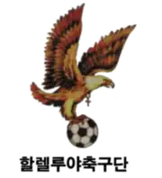 Logo du Hallelujah FC