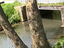 Photographie représentant le pont des Anglais permettant d'accéder au terrain de football