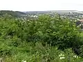 Halytch vu depuis la colline du château ;