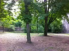 Espace de verdure dans le Hameau.